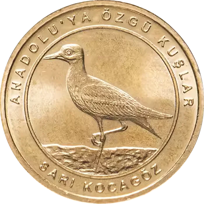 Sarı Kocagöz